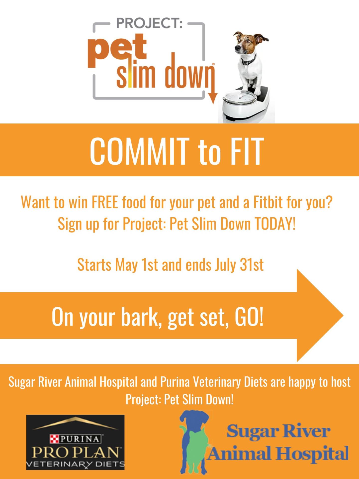 Project Pet Slim Down at Sugar RIver Animal Hospital