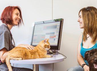 What Is a Fear Free® Veterinary Hospital and What Are The Benefits?