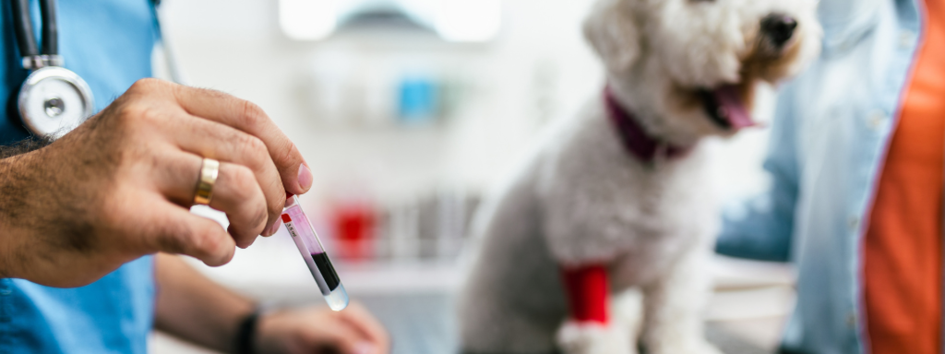 Canine red cell benefits top
