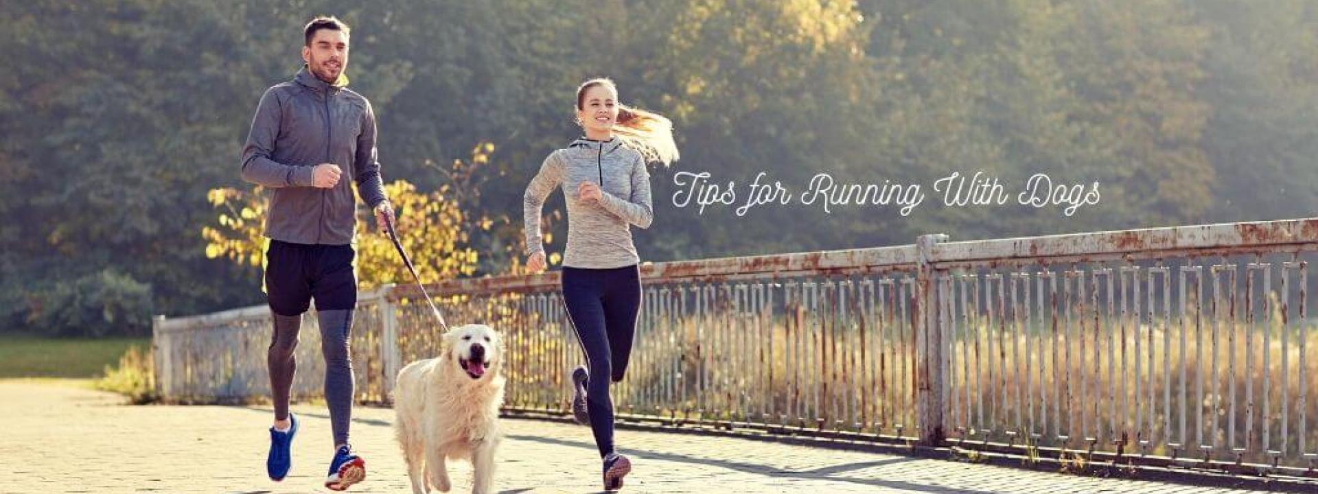 Tips for running with dogs