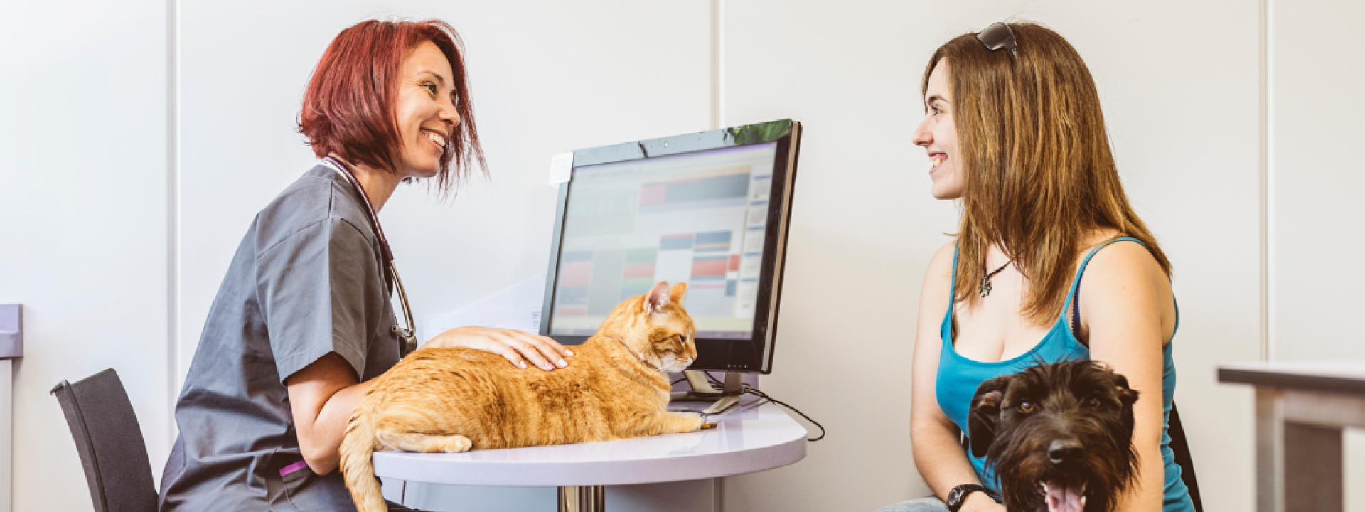 What Is a Fear Free® Veterinary Hospital and What Are The Benefits? What Is a Fear Free® Veterinary Hospital and What Are The Benefits?