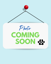 Staff Member bio coming soon